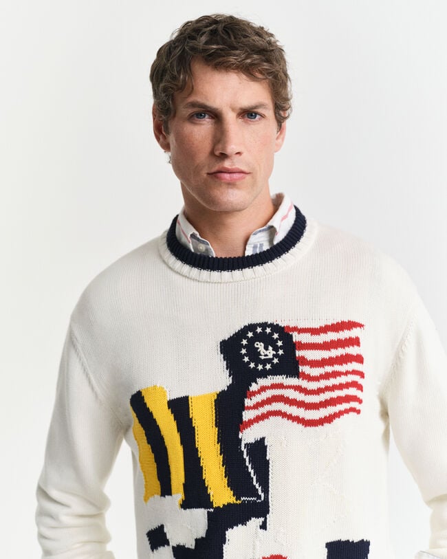 Pull col rond en coton avec drapeau en intarsia