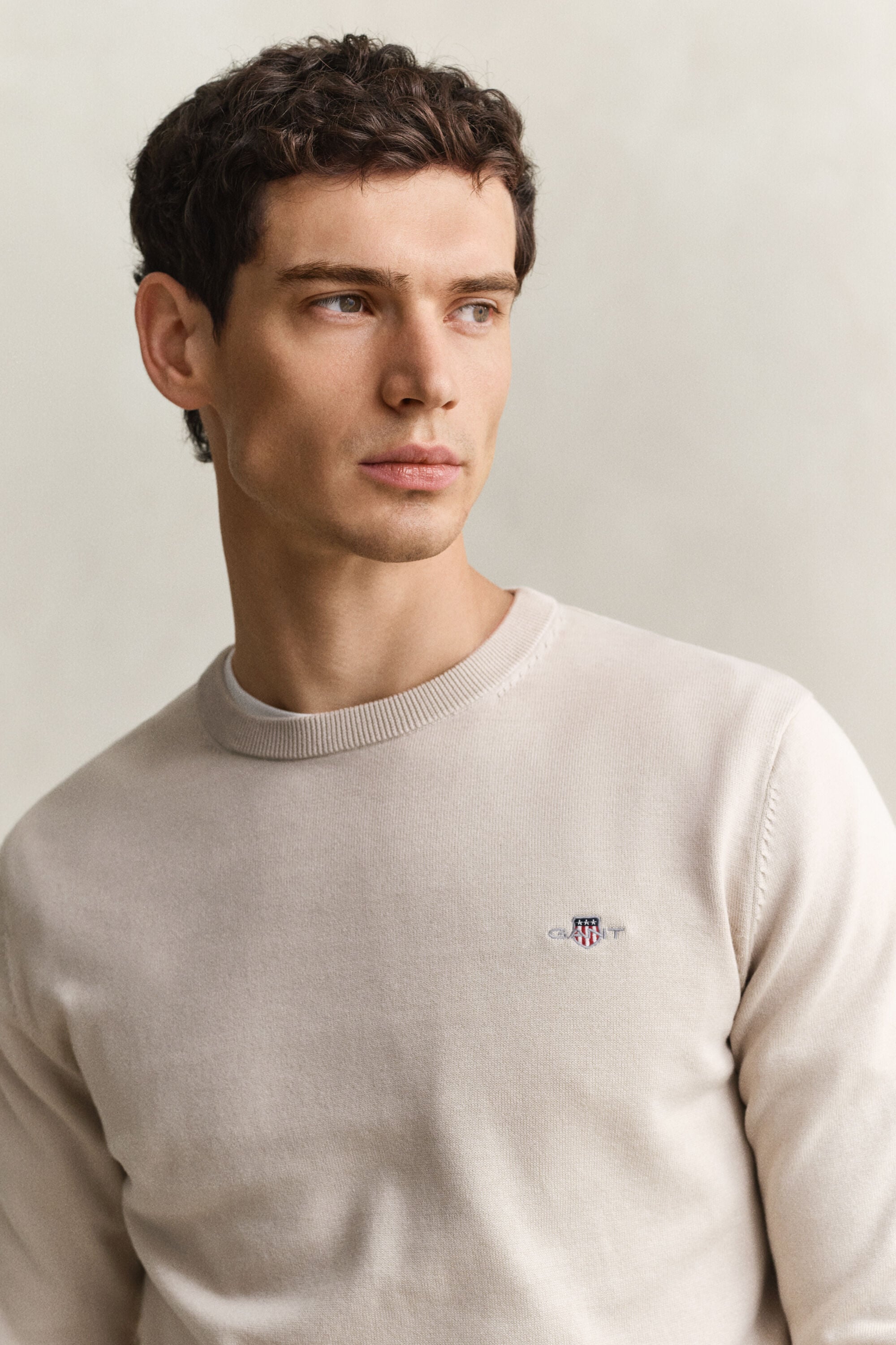 Pull col rond en coton classique