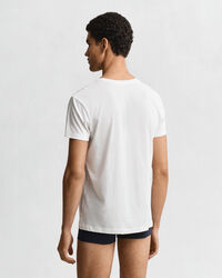 Lot de 2 t-shirts col rond