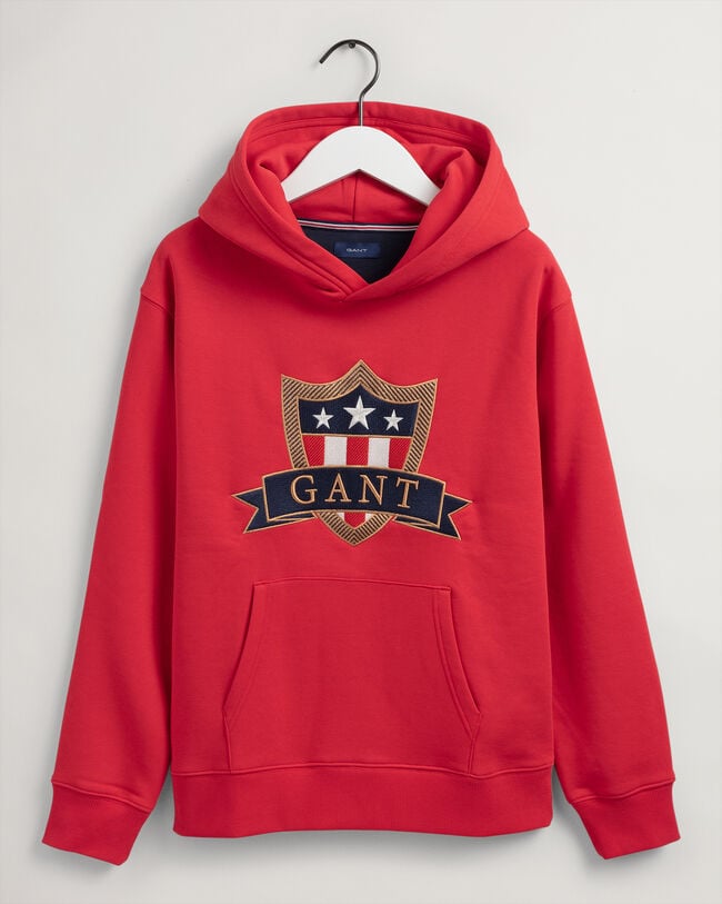 Sweat &agrave; capuche Banner Shield Teens