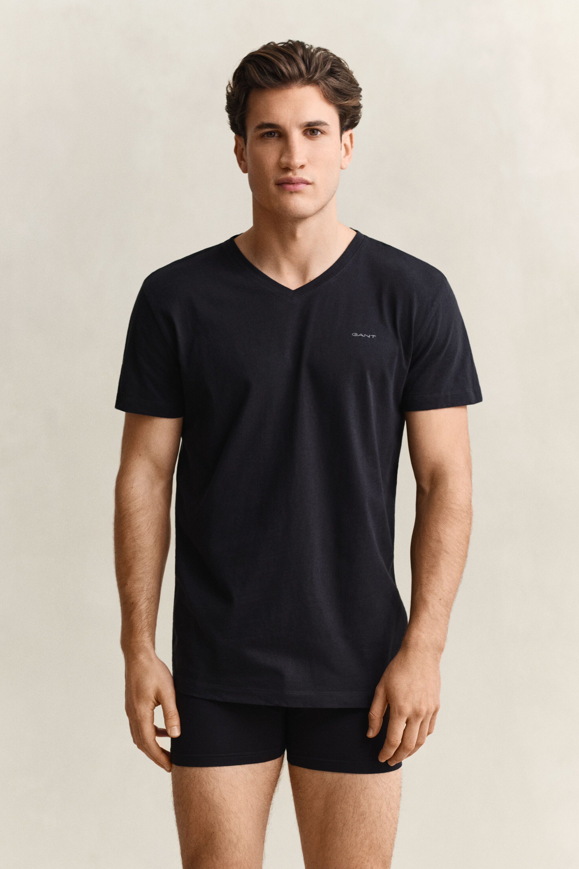 Lot de 2 t-shirts col V