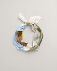 Long foulard en soie Art Print