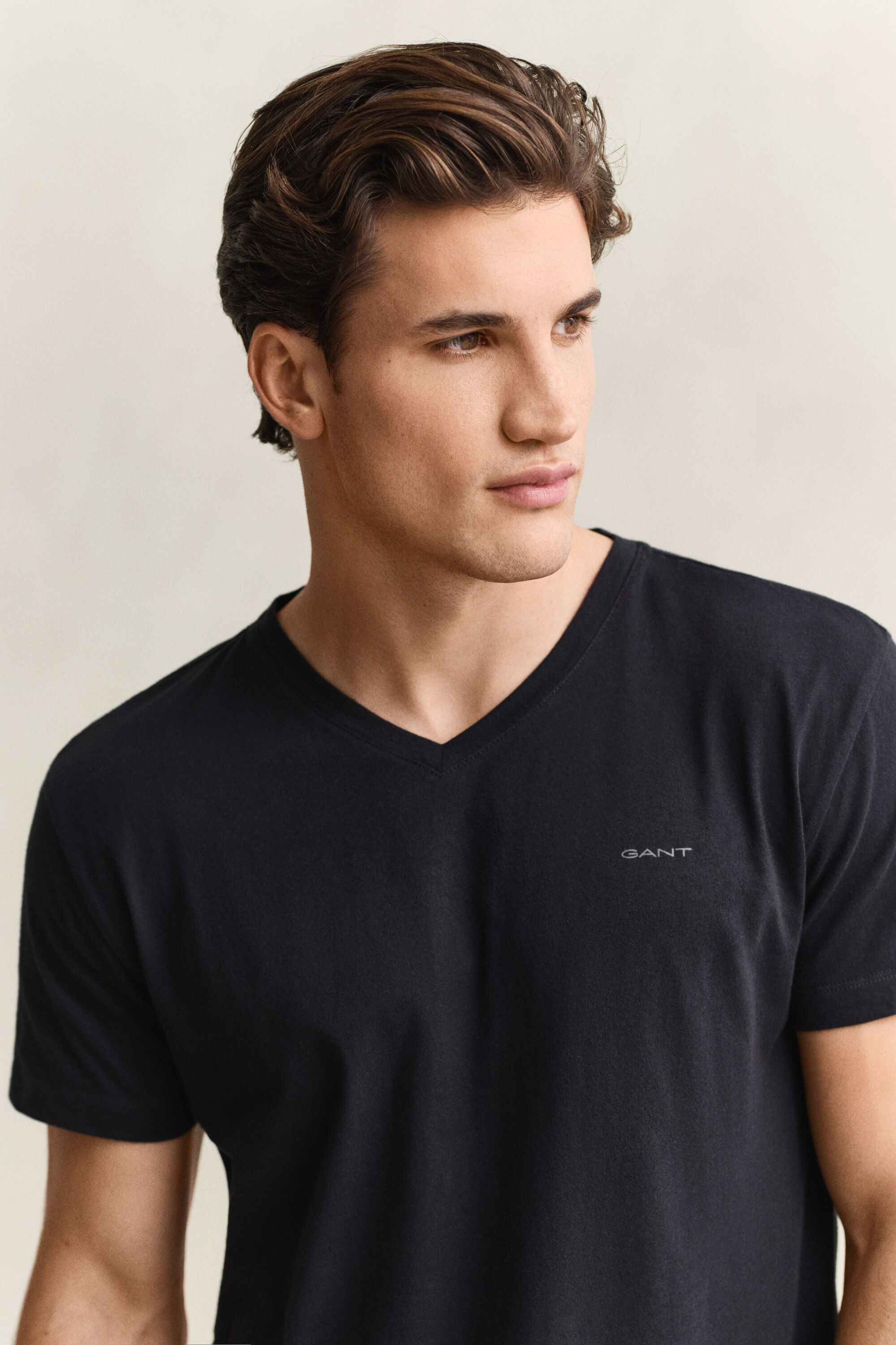 Lot de 2 t-shirts col V