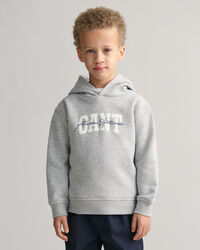Sweat &agrave; capuche GANT Arch Script Kids