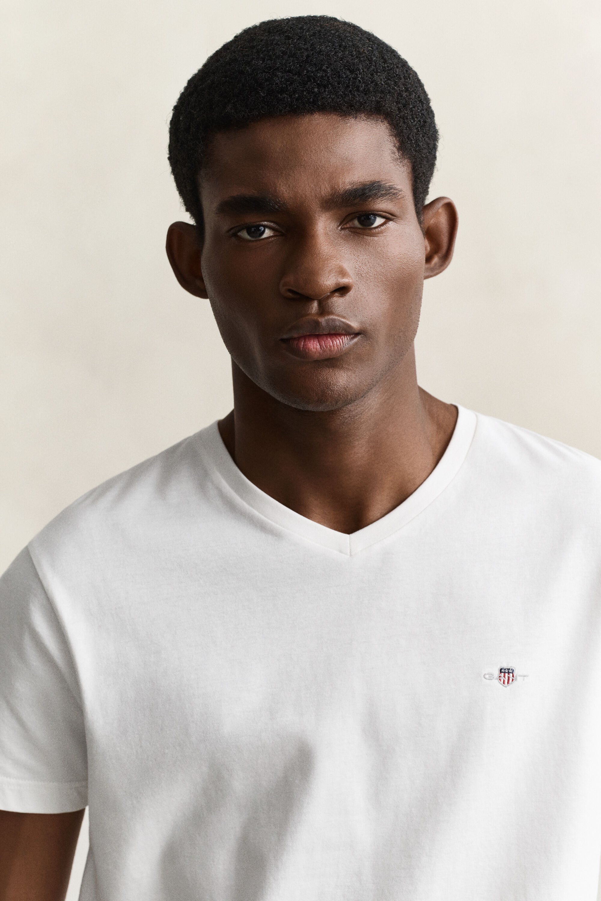 T-shirt col V avec écusson