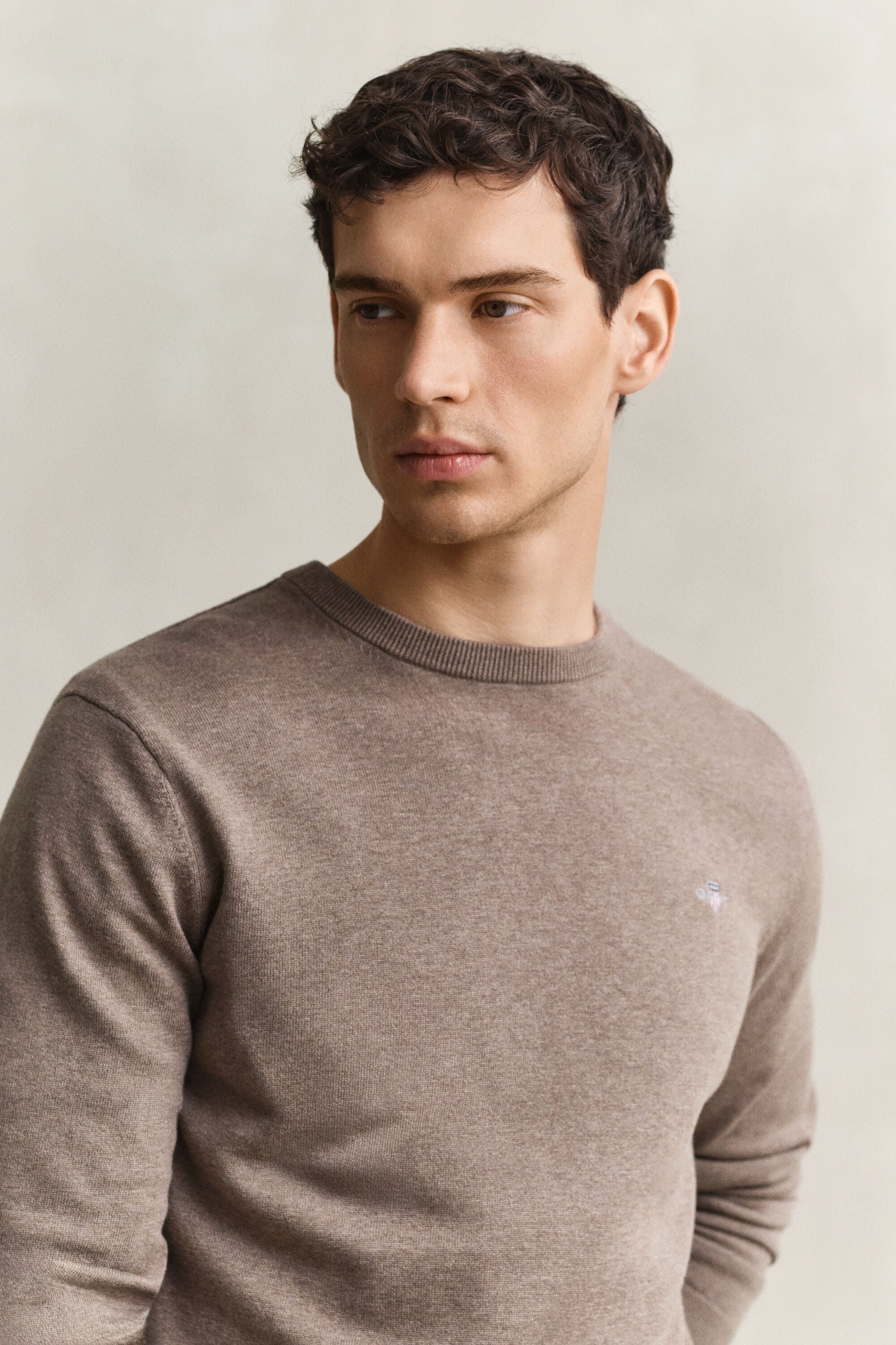 Pull col rond en coton classique