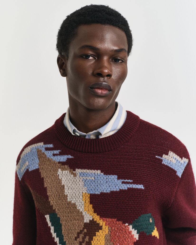 Pull col rond à motif oiseau Ado