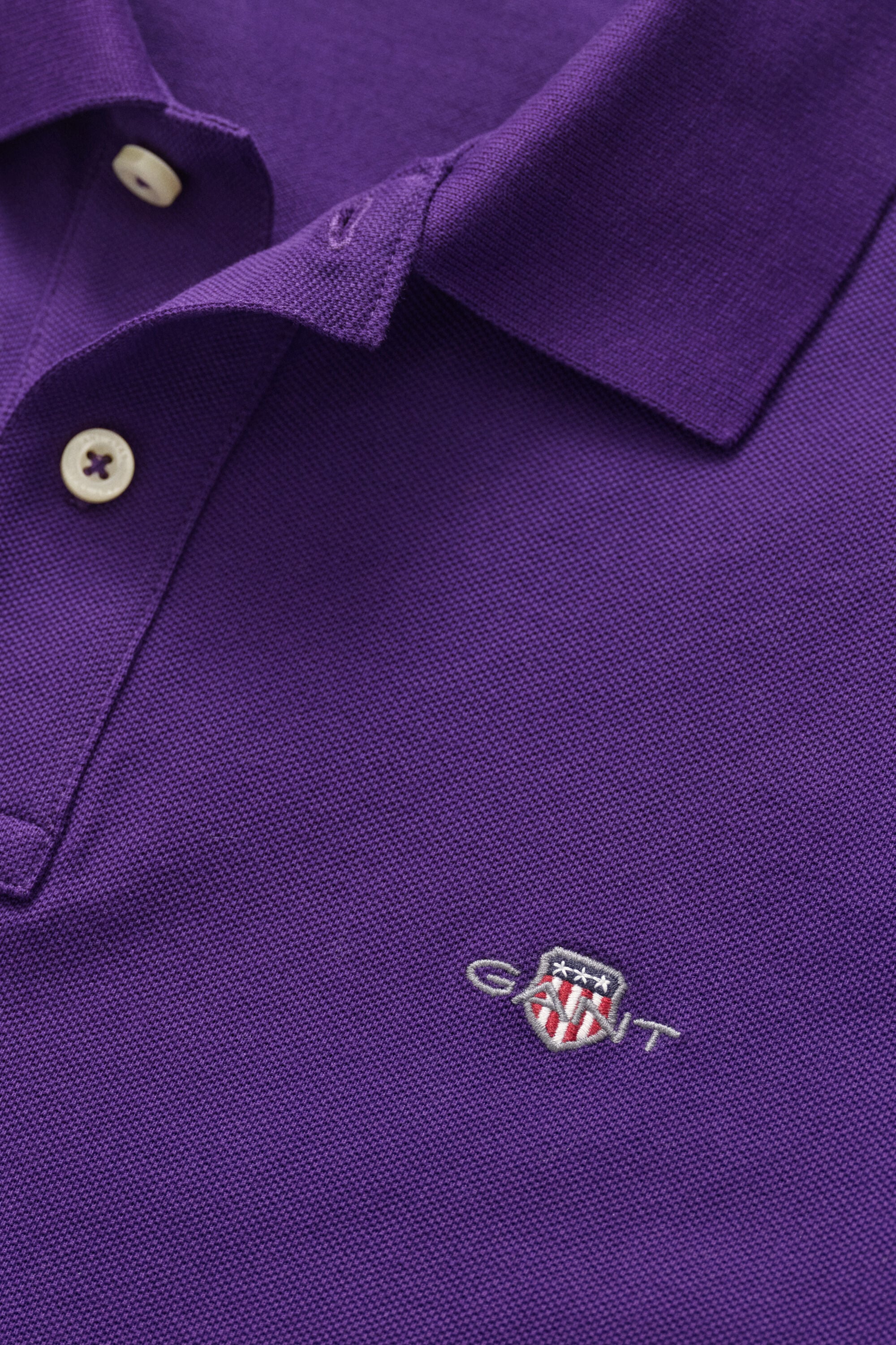 Polo regular classique