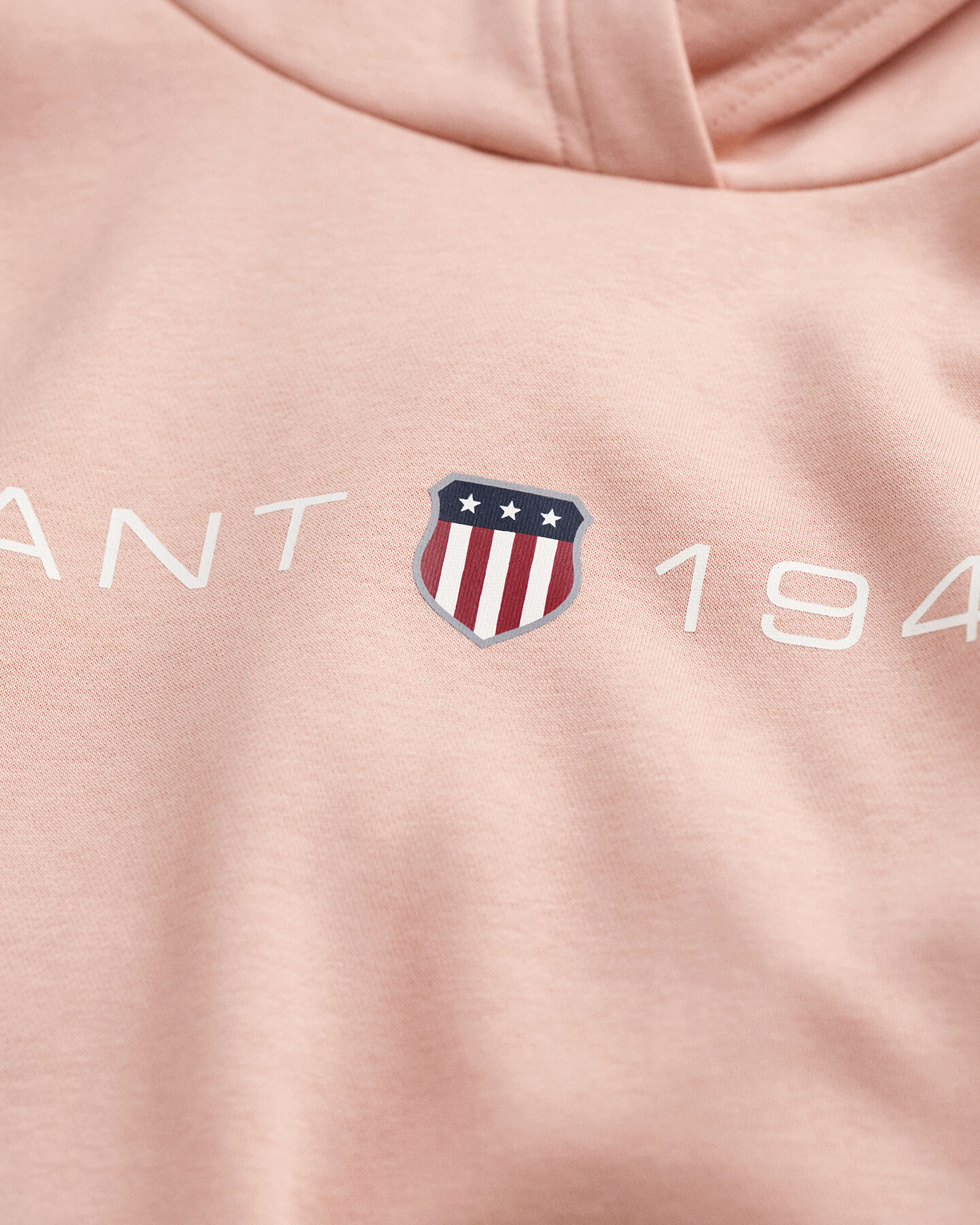 Sweat à capuche imprimé Archive Shield