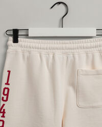 Short Retro Flag Logo