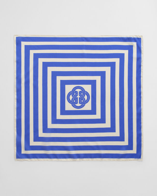 Foulard en soie à imprimé rayé