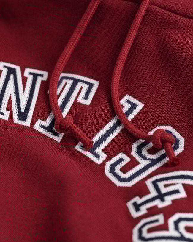 Sweat à capuche à inscription GANT 1949 incurvée