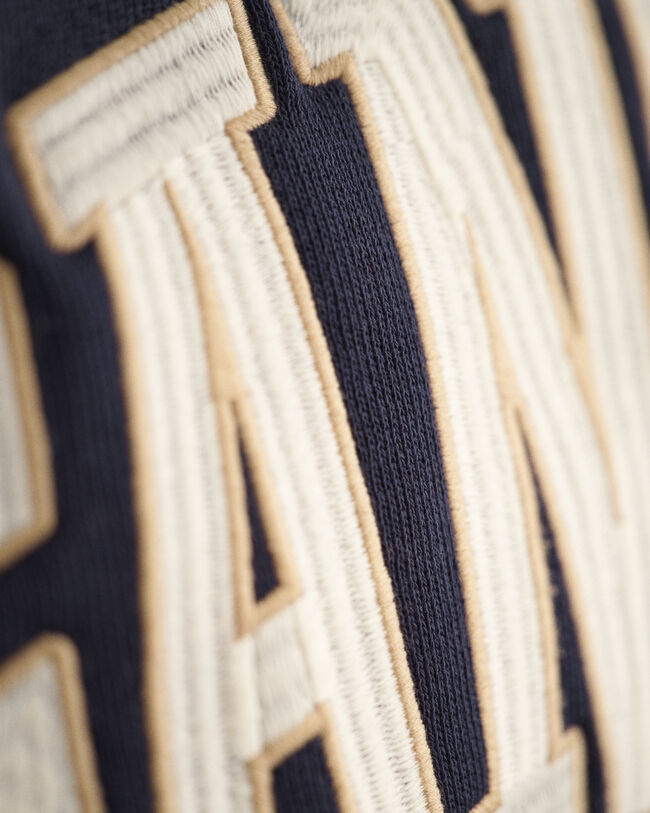 Sweat à capuche en jersey USA Graphic