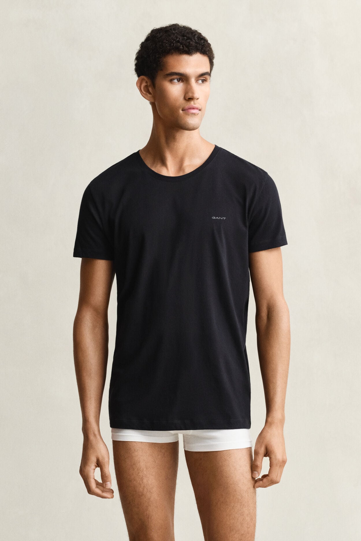 Lot de 2 t-shirts col rond