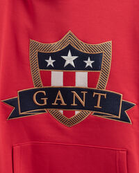 Sweat &agrave; capuche Banner Shield Teens