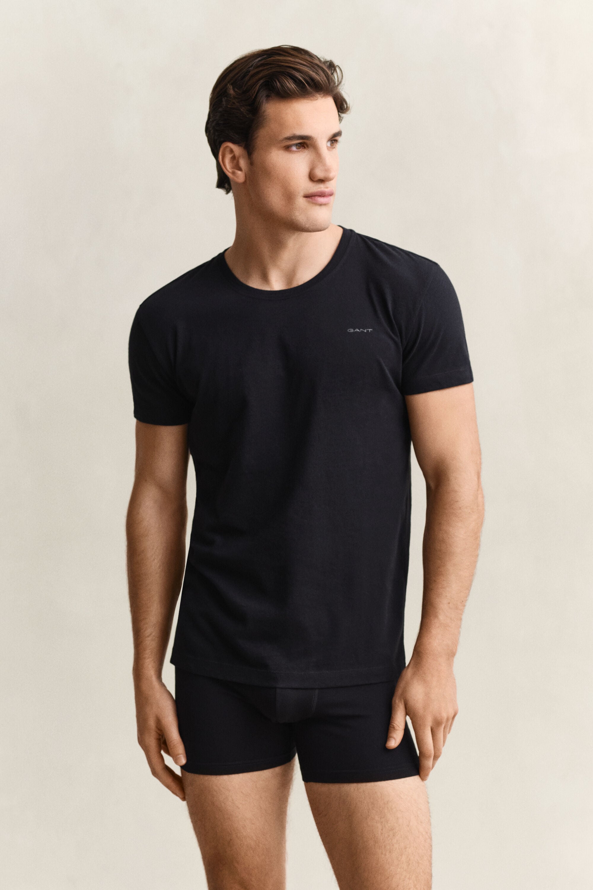 Lot de 2 t-shirts col rond