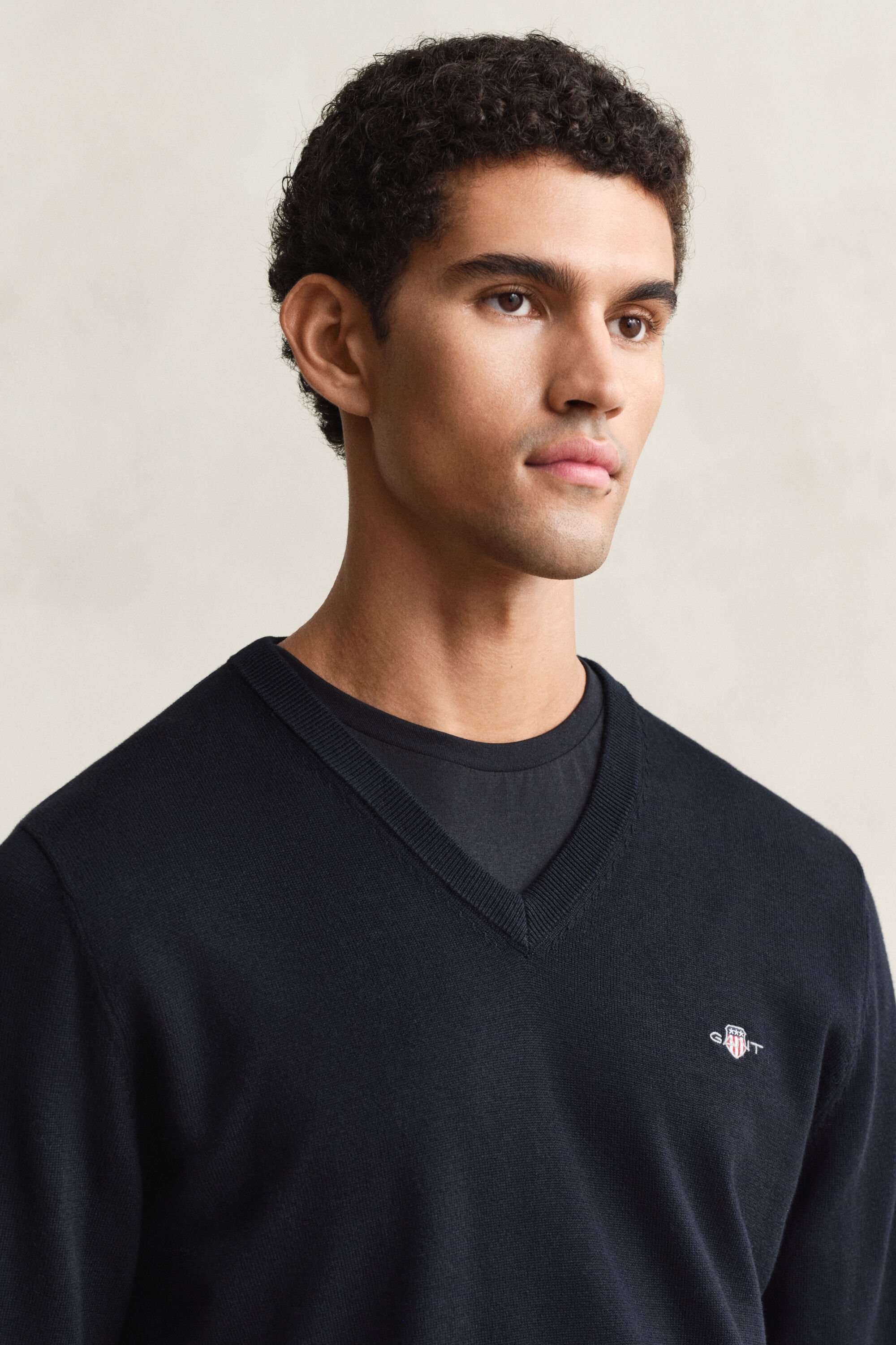 Pull col V en coton classique