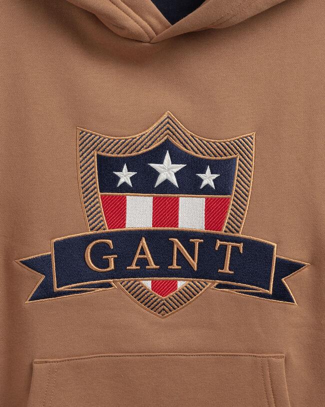 Sweat &agrave; capuche Banner Shield Teens