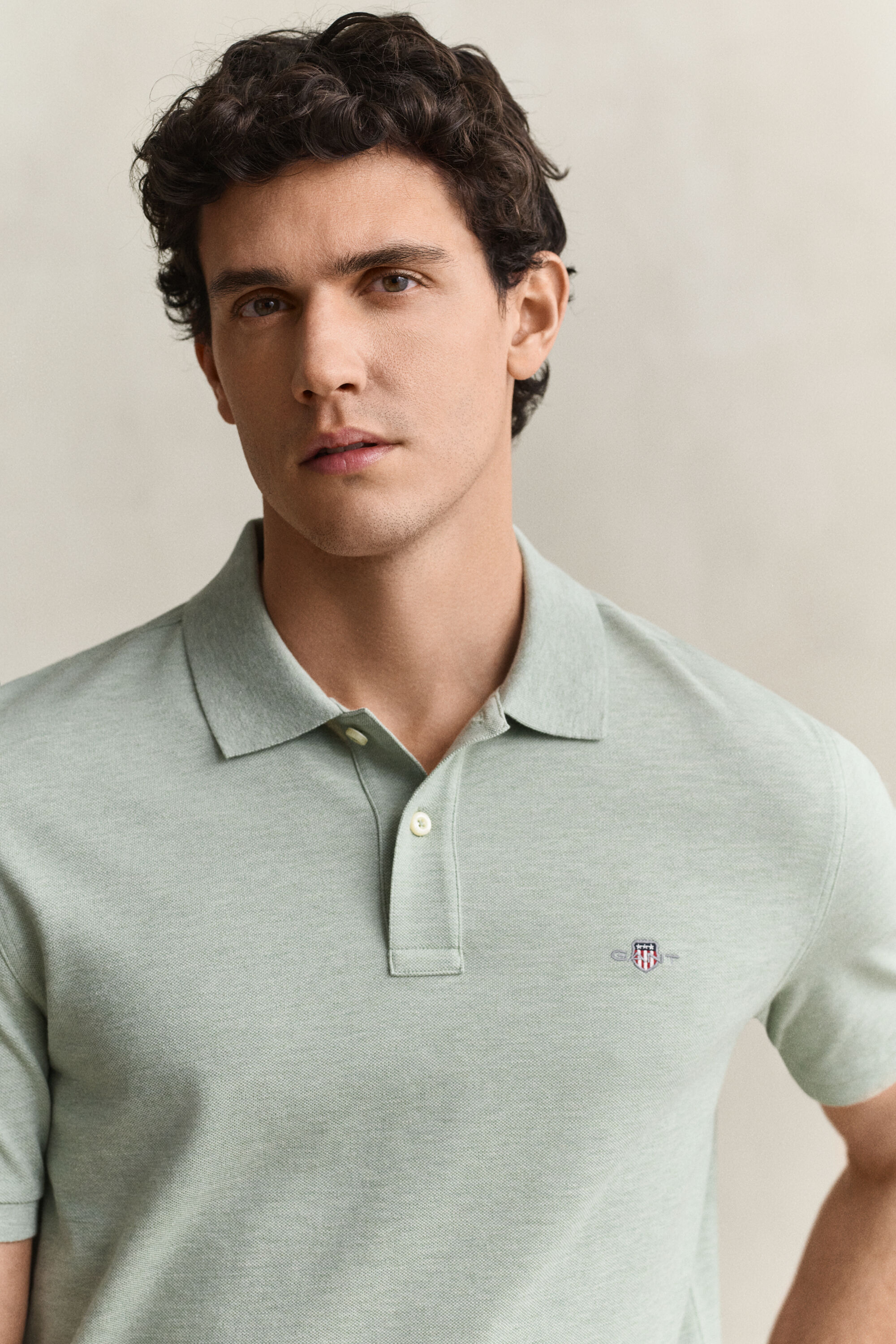 Polo regular classique