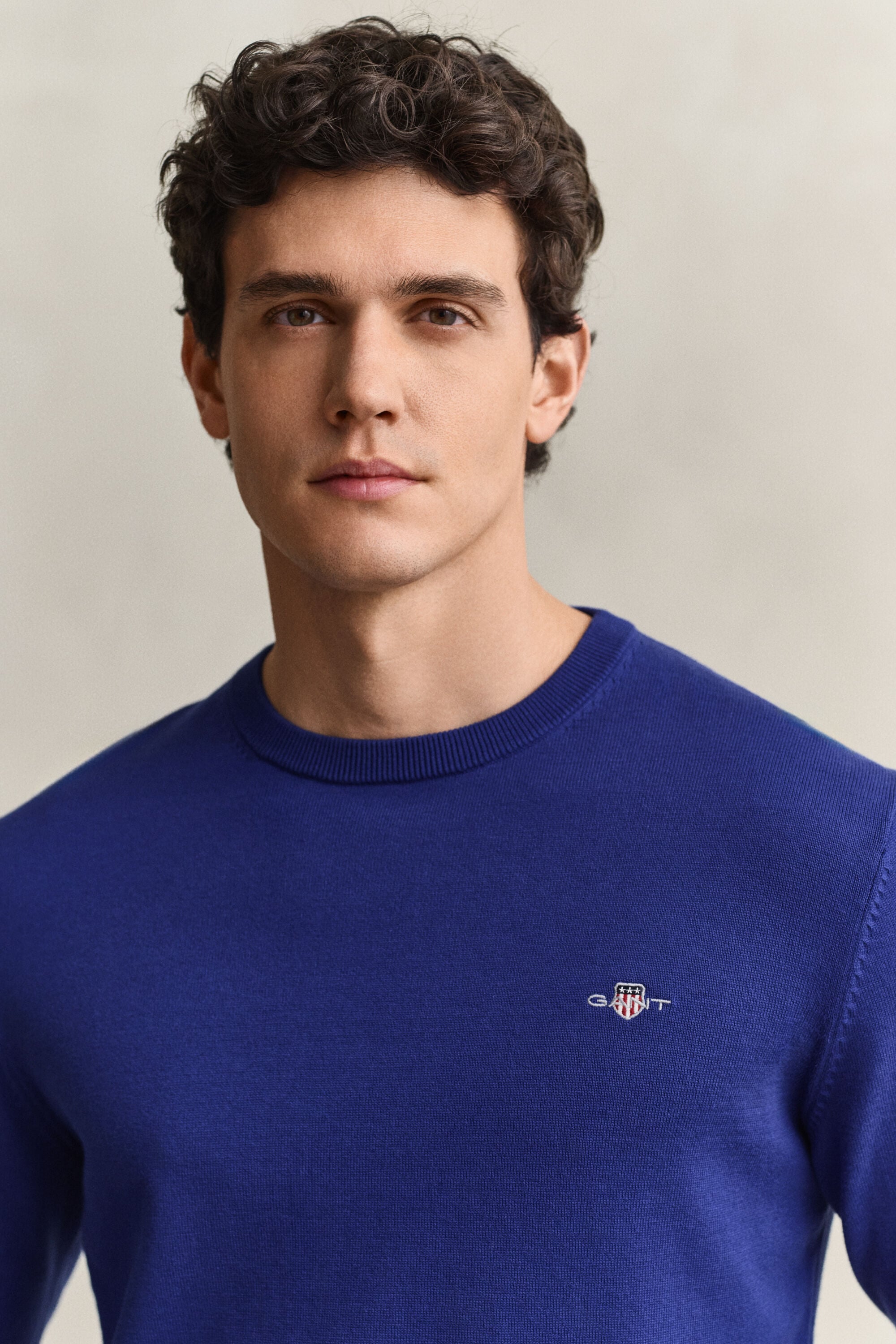 Pull col rond en coton classique