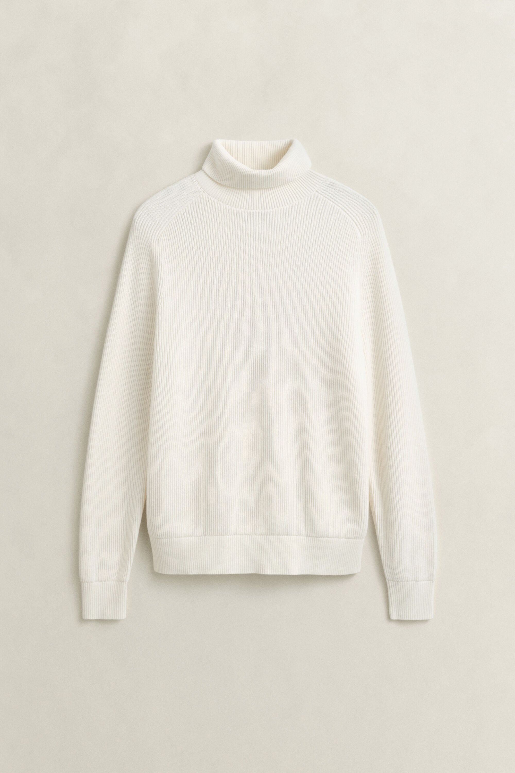 Pull col roulé en laine mérinos et coton