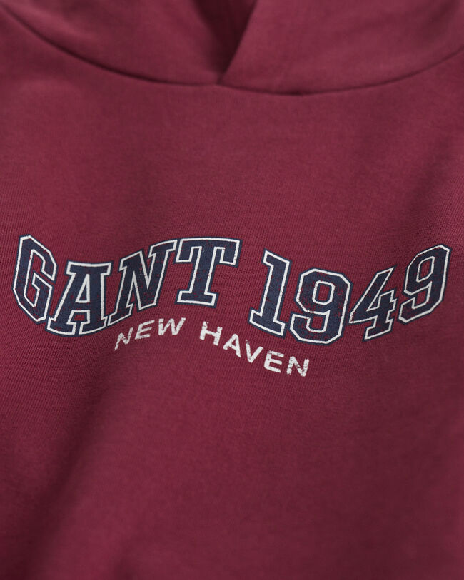 Sweat à capuche GANT 1949 Teens