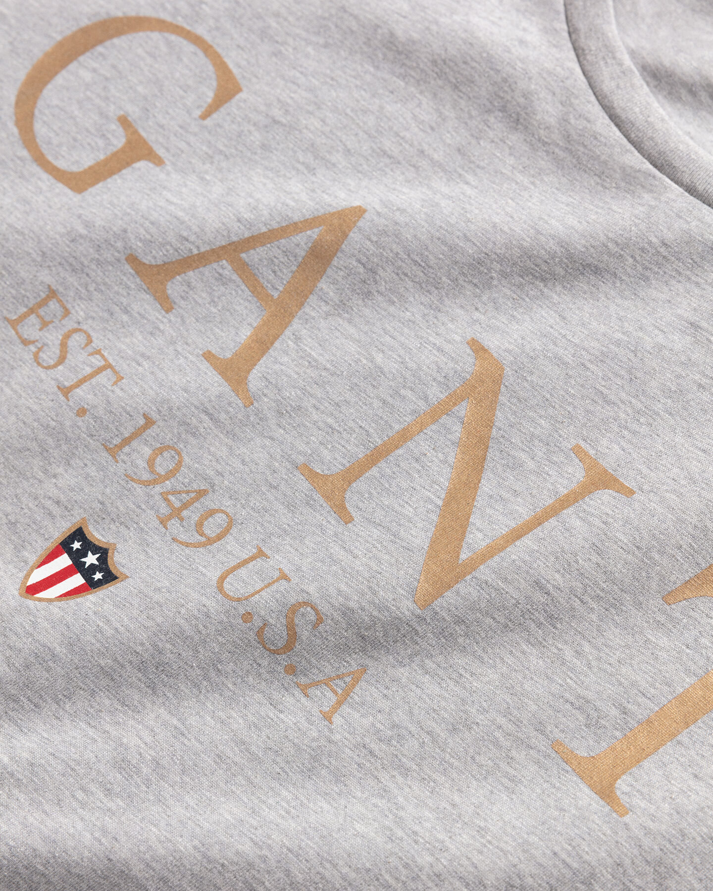 T-shirt Banner Shield Graphic