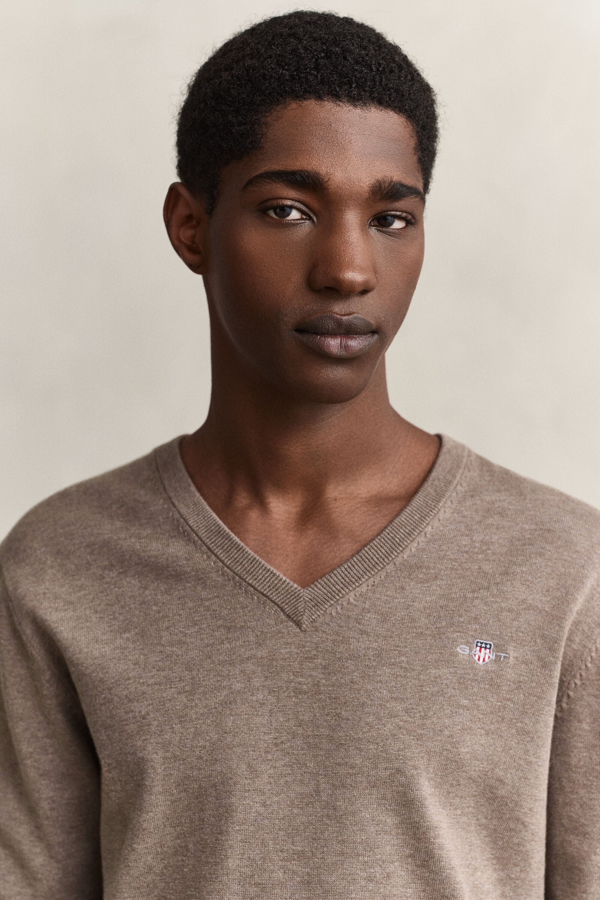 Pull col V en coton classique