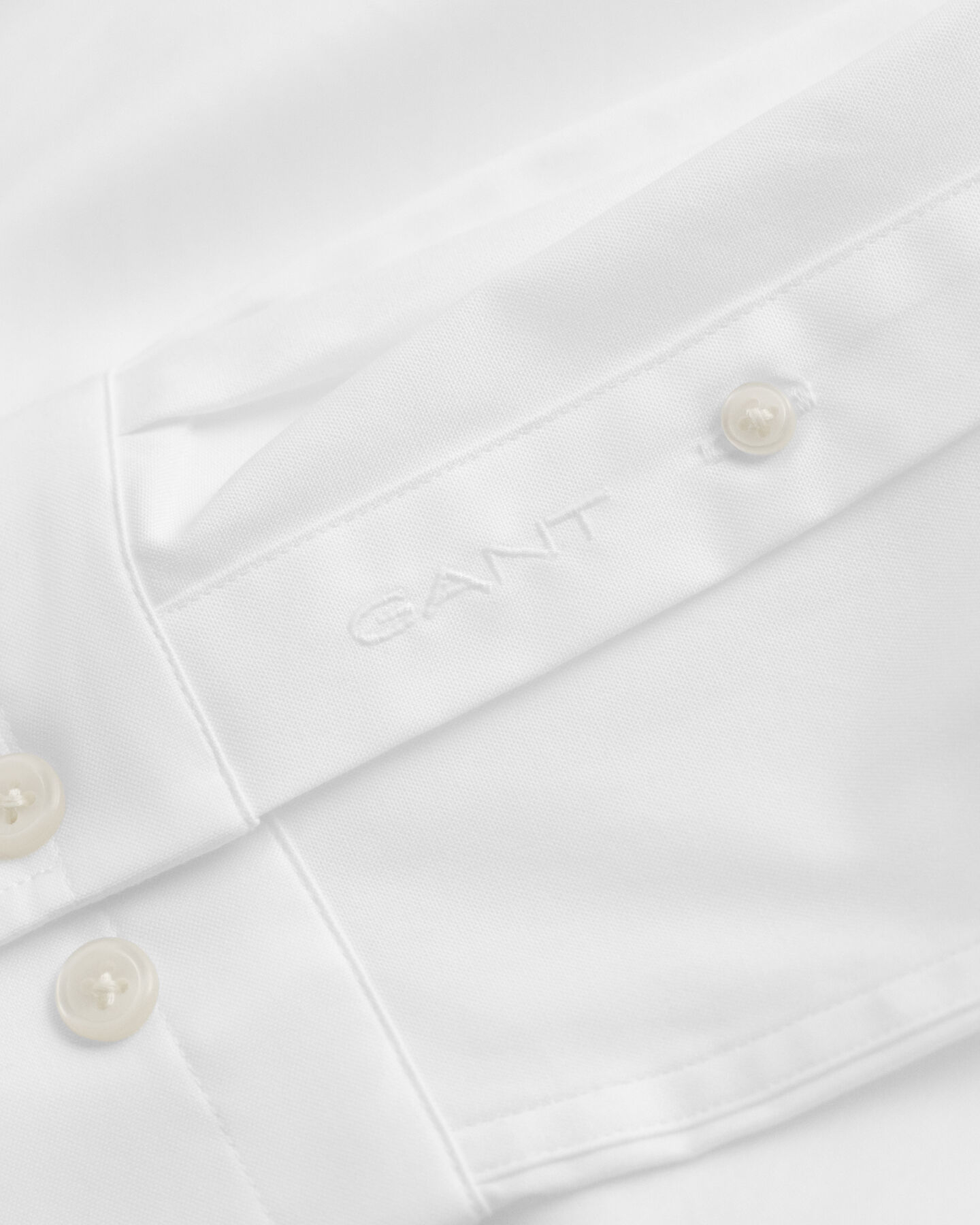 Chemise coupe regular en coton Oxford Pinpoint