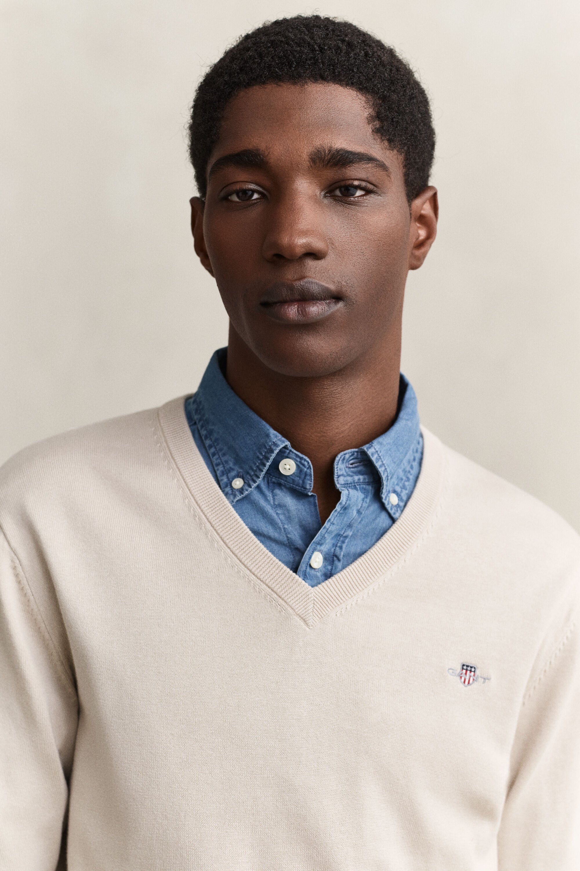 Pull col V en coton classique