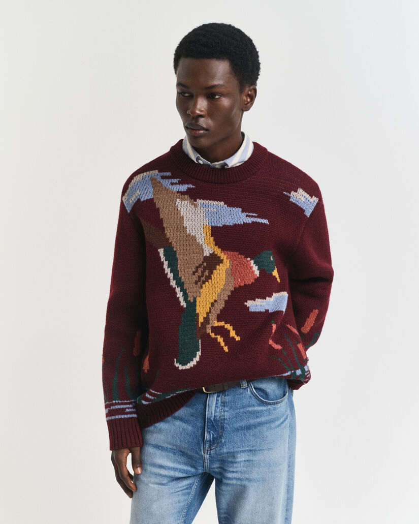 Pull col rond à motif oiseau Ado